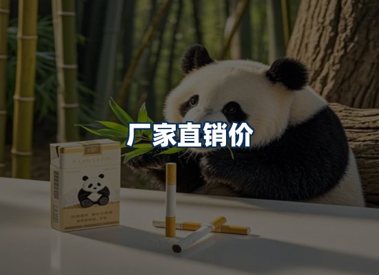 专业团队办公环境